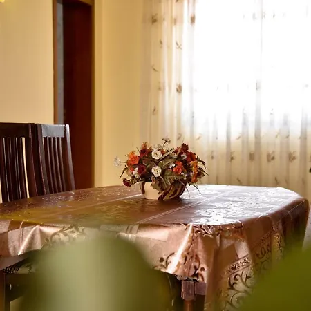 Garden Shkoder
