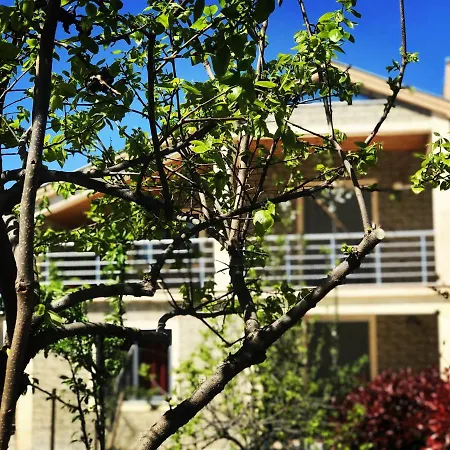 Garden Villa Shkoder